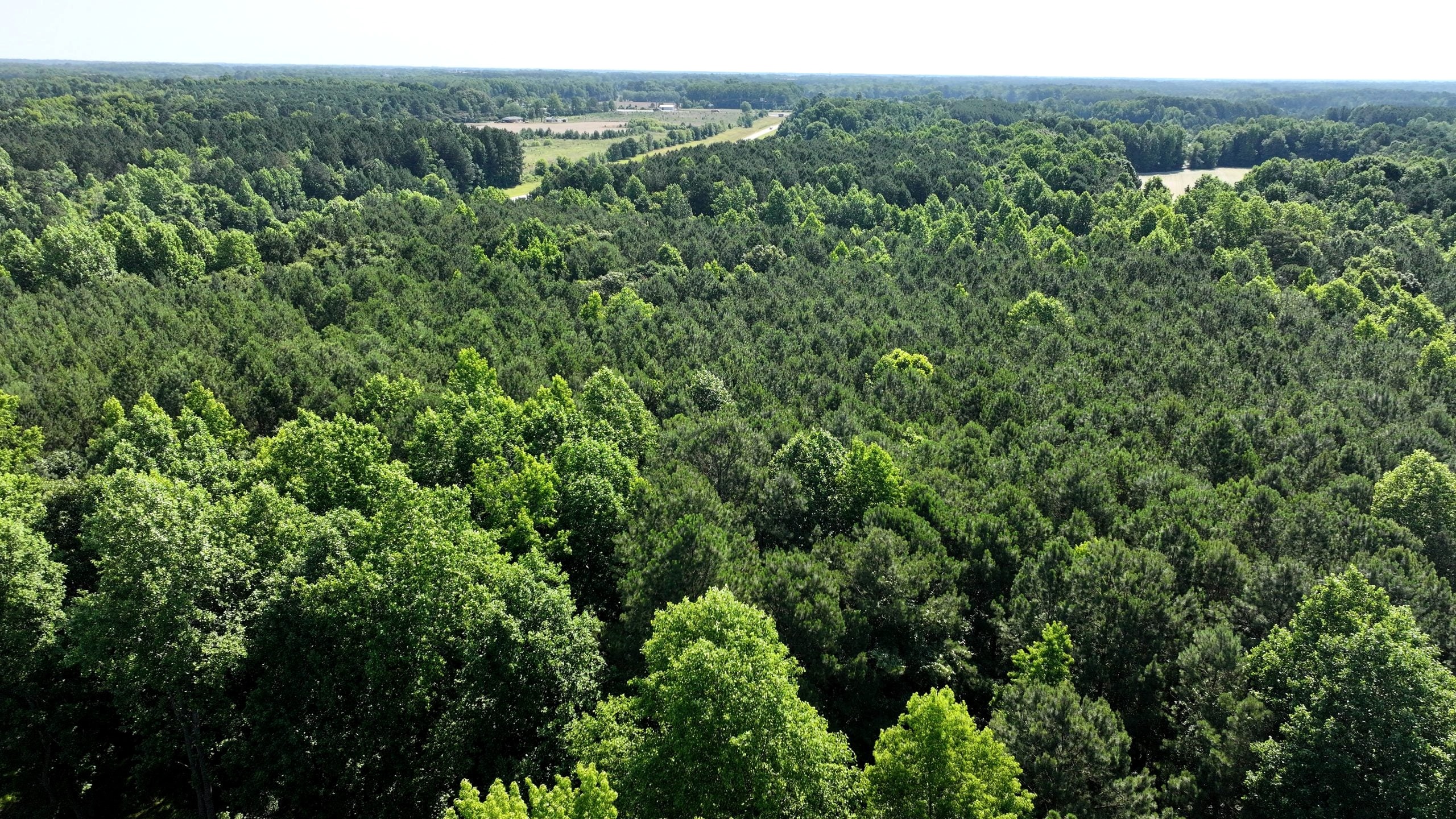 8.64 Wooded Acres Near Clayton - Creek + Owner Financing