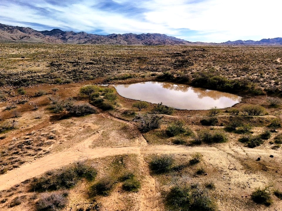 40 Acres with a Pond & Mountain Views in Saddle Creek Ranch